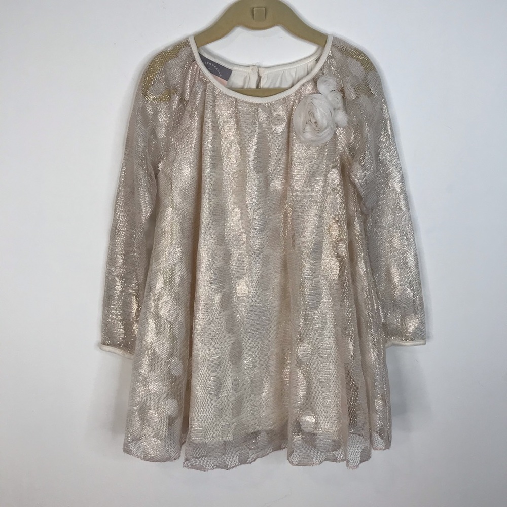 Nordstrom Metallic Tule Girls Dress